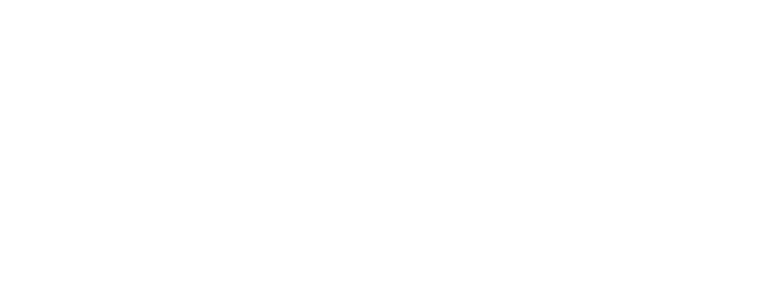Seenwize